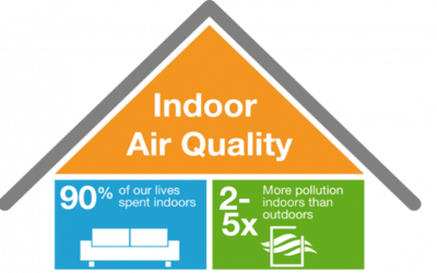 Impact of Eco-Conscious Living Series: Indoor Air Quality