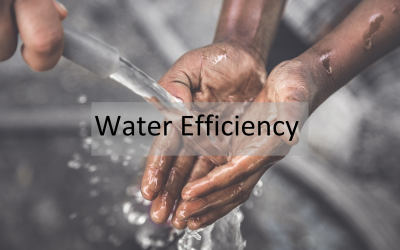 Impact of Eco-Conscious Living Series: Water Efficiency